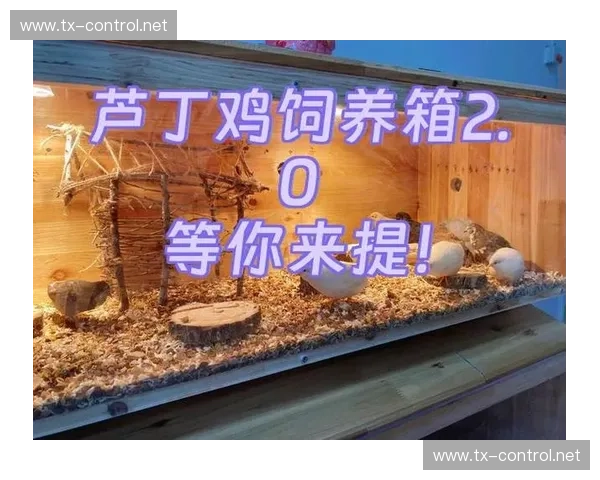 《风暴英雄微信号震撼升级 全新玩法与福利等你来体验》 《风暴英雄微信号震撼升级 全新玩法与福利等你来体验》